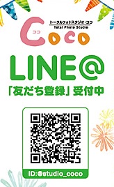 coco_line2